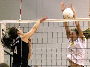 Lady Hornets win thrilling title match